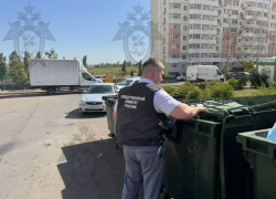 Выбросившая труп младенца в мусорный бак ростовчанка может избежать наказания