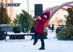 В Ростове по традиции будут сдавать и метать елки