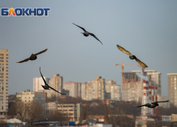 В Ростове ожидается резкое потепление до +20 градусов 