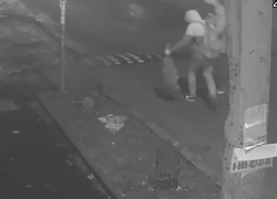 Злые похитители оставили ростовчан без туй и попали на видео
