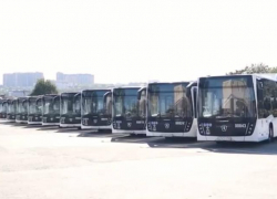 На маршруты выйдут 10 новых автобусов в Ростове 