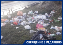 «Собаки растаскивают пакеты»: жители Ростовской области пожаловались на несвоевременный вывоз мусора