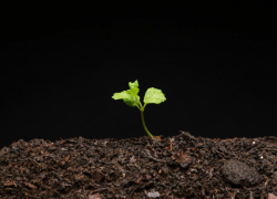 Прокуратура изъяла у Шолоховского района более 300 га земли