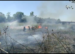 В Ростове полыхает камыш