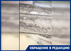 «Вынуждены ходить по грязи»: ростовчане пожаловались на отсутствие тротуара рядом с автобусной остановкой