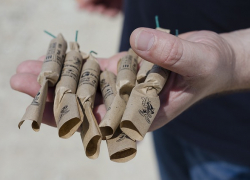 Мужчина пострадал от взрыва петарды в Ростовской области