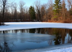 В Ростовской области вводят предупреждения о выходе на водоемы
