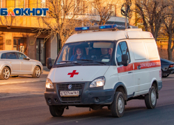 В Ростовской области 14-летняя девочка погибла в ДТП с грузовиком