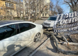 Дерево упало между припаркованными машинами и оборвало провода в Ростове