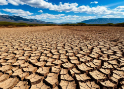 Cиноптики обещают на Дону засушливый и жаркий сентябрь