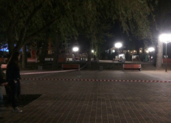 Срочно оцепить пришлось открытый на левом берегу парк в Ростове