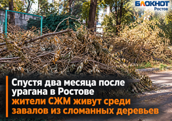 Спустя два месяца после урагана в Ростове жители СЖМ живут среди завалов из сломанных деревьев
