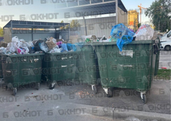 Вонь и крысы: ростовчане жалуются на ограниченное количество контейнеров в крупном ЖК