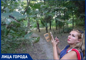 «Бермудский треугольник», в котором исчезают деревья: Елена Хатламаджиян о том, можно ли спасти ростовские парки