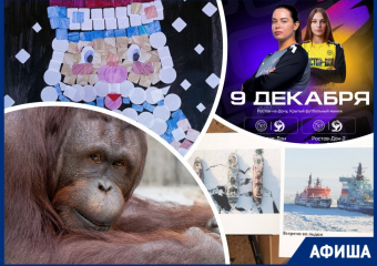 Поддерживаем «Ростов-Дон», любуемся Арктикой и создаем деда Мороза: куда пойти в Ростове на этой неделе