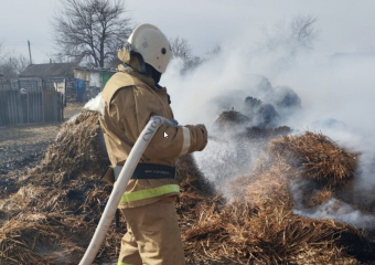 В Ростовской области запретили разжигать костры и сжигать мусор с 28 апреля 