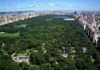 В Ростове предлагают создать аналог центрального парка в Нью-Йорке