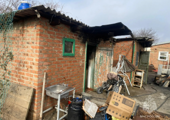 Собака спасла семью от пожара в гараже и бане в Ростовской области 