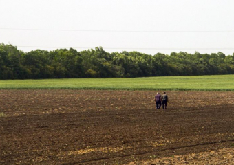 В Ростовской области определился крупнейший землевладелец