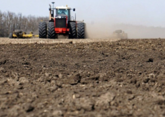 О состоянии озимых рассказали в донском Минсельхозе