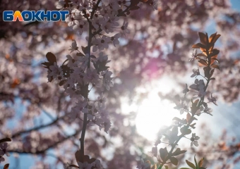 Что нельзя делать в день весеннего равноденствия 