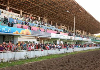 Ростовский ипподром сохранится, жилье на его месте строить нельзя — заявил первый замгубернатора Ревенко
