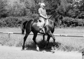 Календарь: 108 лет со дня рождения мастера верховой езды, 17-кратного чемпиона России, тренировавшего в Ростове