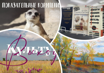 Кормим сурикатов, посещаем выставки и рисуем донской пейзаж: куда пойти в Ростове на этой неделе