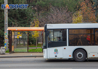 Эксперт: причина проблем с автобусами в Ростове – непонимание властей 