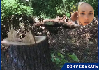 Жители Новочеркасска заявили, что под видом благоустройства вырубается парк