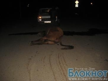 В Заветнинском районе в ДТП с коровой погибла женщина