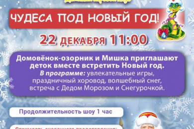 Проведение детских праздников в игровом клубе «ЛЕТО» Западный - 
