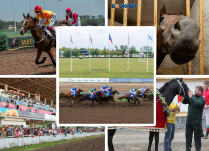 Ростовский ипподром снова принадлежит государству после тридцати лет скитаний