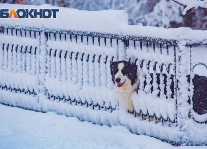 Синоптики рассказали ждать ли снега на Новый год в Ростове
