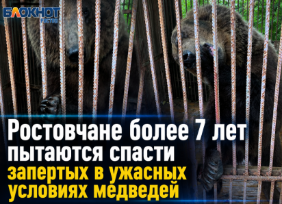 Ростовчане более 7 лет пытаются спасти запертых в ужасных условиях медведей