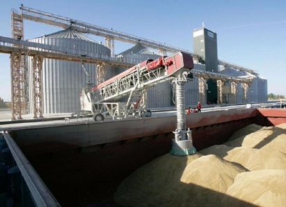 Экспорт зерна из Ростовской области находится на грани коллапса