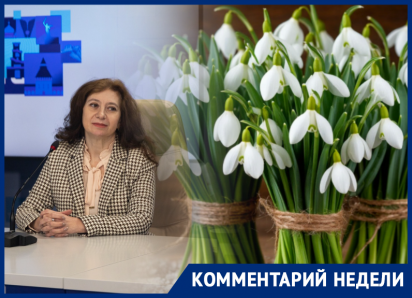 Директор ботанического ЮФУ заявила, что каждый купленный букетик подснежников это лепта в их уничтожение