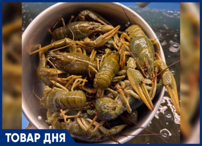 ТОВАР ДНЯ: Рак «Маныч» Крупный — 1699 рублей за килограмм