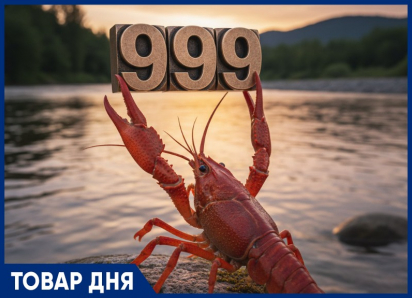 ТОВАР ДНЯ: Рак «Волга» Средний — 999 рублей за килограмм