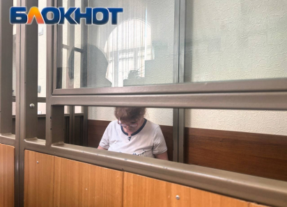 За закрытыми дверями: что скрыла от журналистов запись по делу донского экс-министра финансов Федотовой