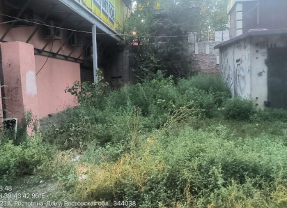 Ростовчане пожаловались на амброзию в разных районах города 