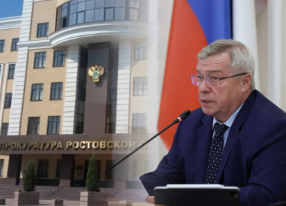Прокуратура Ростовской области указала губернатору на нарушения прав инвалидов 