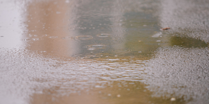 Конец января принесет в Ростов дожди