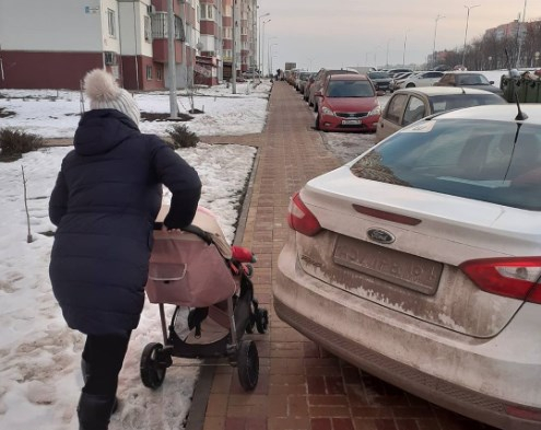 Ростовчане встали на сторону автовладельца и раскритиковали молодую маму