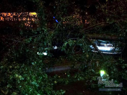 В Ростове на припаркованные «Тойоту» и Москвич упало дерево
