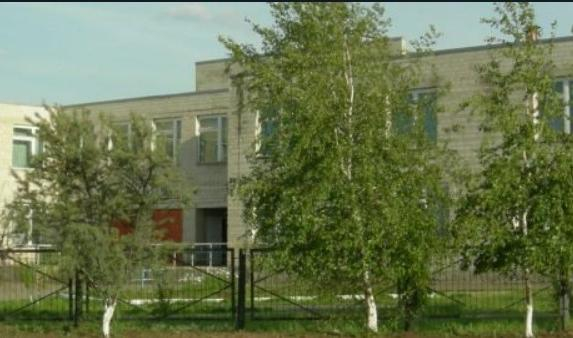 В поселке Тарасовском Ростовской области зафиксировали массовое отравление школьников