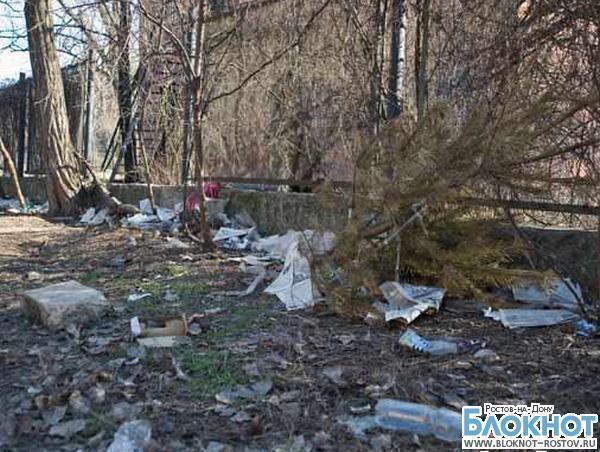 На ростовских чиновников завели 83 дела за плохую уборку города