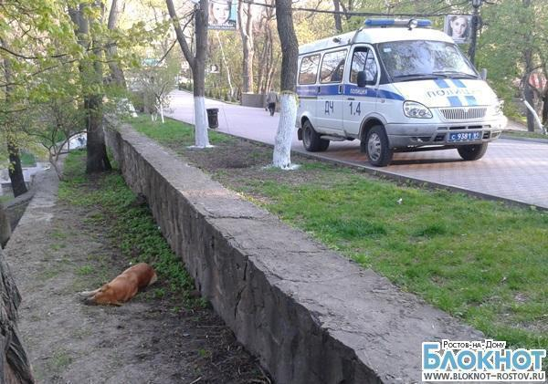 Ростовские зоозащитники обвиняют сотрудника службы отлова собак в незаконном убийстве животного
