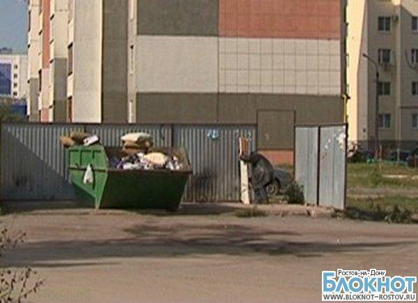 В Ростовской области может появиться соцнорма на мусор