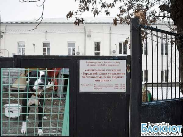 Центр безнадзорных животных Ростова оштрафуют по решению прокуратуры